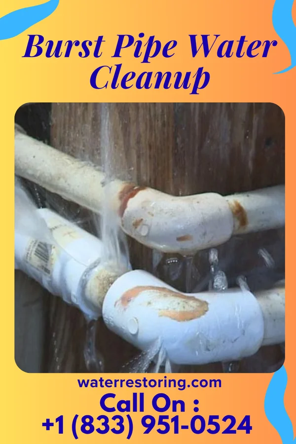 Burst Pipe Water Cleanup in Earlville, NY