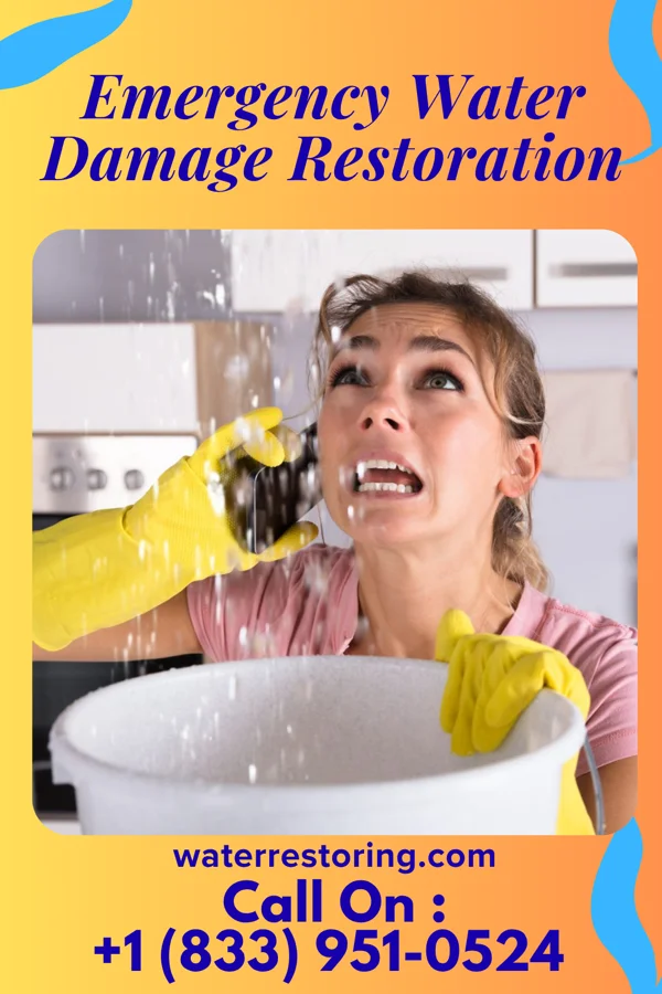 Emergency Water Damage Restoration in Earlville, NY