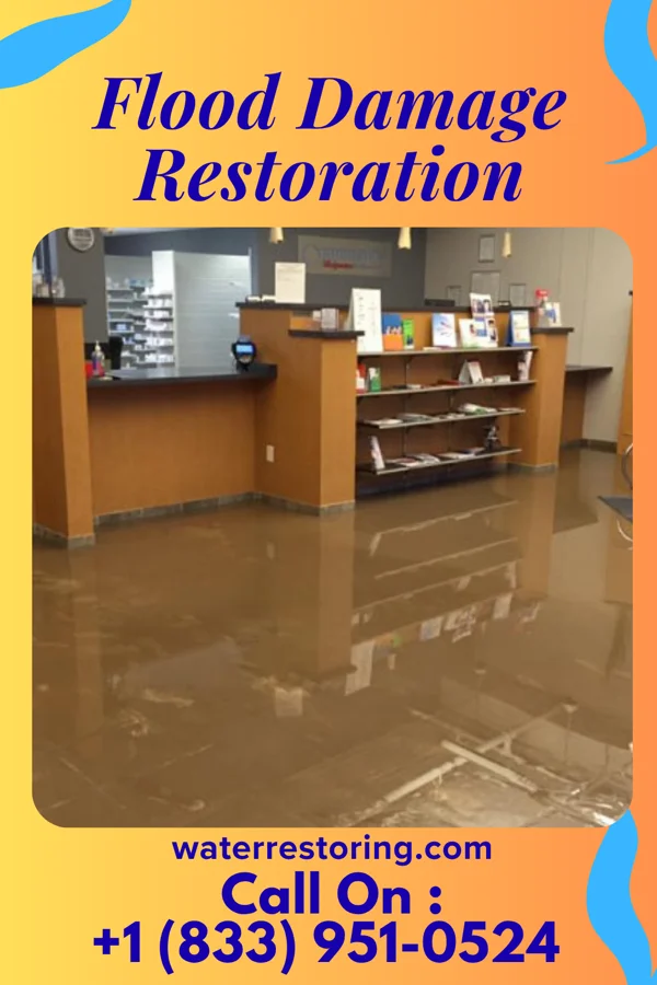 Flood Damage Restoration in Earlville, NY