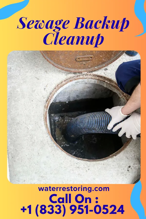 Sewage Backup Cleanup in Earlville, NY
