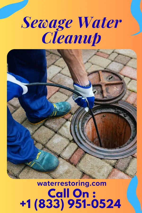 Sewage Water Cleanup in Earlville, NY