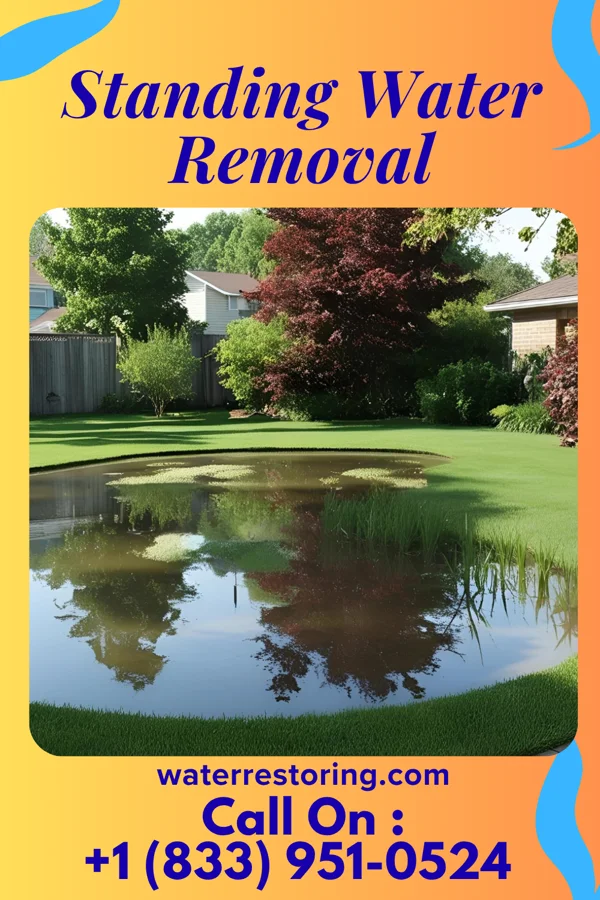 Standing Water Removal in Earlville, NY